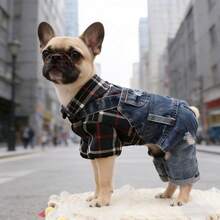 Autumn/Spring Thin Denim Pet Clothes For Small Dogs, Teddy, Poodle, Puppy - Black - View 4