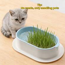 Cat Grass Planting Box, Hydroponic Planting Box, Garden Seed Germination Tray, Seed Germination Tray Set, Plastic Pet Bowl, Pet Friendly Flowerpot, Suitable For Cat Grass, Wheat, Pea, Peanut Sprouts, Balcony, Office, Home Planting, Pet Supplies, Valentine's Day, Mother's Day Gifts, Good Choice