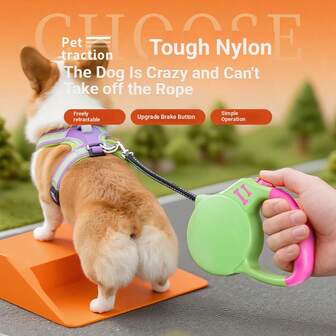 Infällbart hundkoppel, automatiskt förlängande hundkoppel för små/medelstora hundar, rymningssäker bröstsele för corgi, shiba inu