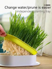 Cat Grass Planting Box, Hydroponic Planting Box, Garden Seed Germination Tray, Seed Germination Tray Set, Plastic Pet Bowl, Pet Friendly Flowerpot, Suitable For Cat Grass, Wheat, Pea, Peanut Sprouts, Balcony, Office, Home Planting, Pet Supplies, Valentine's Day, Mother's Day Gifts, Good Choice