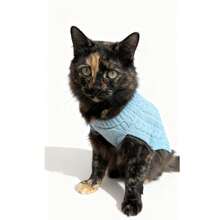 1 buc pulover Dachshund, pulover lung pentru câini, îmbrăcăminte pentru animale de companie, pulover pentru animale de companie în stil britanic, pulover extins pentru animale de companie, design minimalist, stil pentru cupluri/cel mai bun prieten, potrivit pentru pudel, Basset Hound, Dachshund, Beagle, Corgi, câini lungi, pisici, lungime extinsă, stil de Crăciun, Crăciun