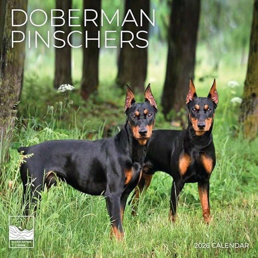 2026 Corgi Puppies Wall Calendar | 12" X 24" Open | Giftable | Dog Calendar 2026 | Thick & Sturdy Paper For Calendar Organizing & Planning | Pacific Waters Press (Corgi Puppies) - Doberman Pinschers - 查看 1