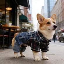 Autumn/Spring Thin Denim Pet Clothes For Small Dogs, Teddy, Poodle, Puppy - Black - View 2