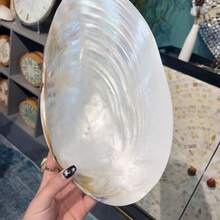 1pc Jumbo Mother-Of-Pearl Shell Tray, Luxury Handcrafted Centerpiece Bowl, Display Stand For Jewelry & Home Decor, Premium Wedding & Party Accent, Beautiful Gift For All Occasions - Pearlescent White - View 6