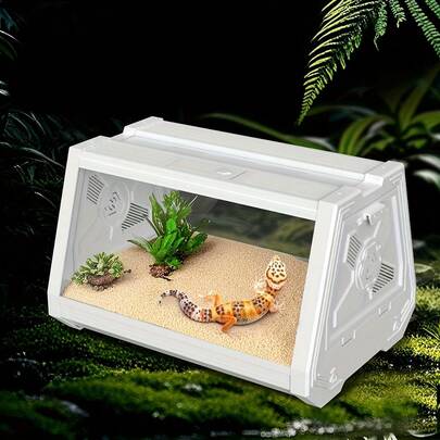 1pc Acrylic Terrarium For Reptile Pets, Suitable For Snakes, Lizards, Scorpions, Hermit Crabs, Frogs, Beetles