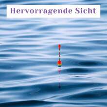 Fishing Float And Bobber,10 Pcs Oval Trout Float Foam Fishing Floats Wood Slip Fishings Bobbers, Bobber Stopper Spring Stick Slip Floats Accessories For Fishings - màu đen - Xem 4