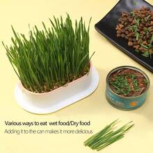 Cat Grass Planting Box, Hydroponic Planting Box, Garden Seed Germination Tray, Seed Germination Tray Set, Plastic Pet Bowl, Pet Friendly Flowerpot, Suitable For Cat Grass, Wheat, Pea, Peanut Sprouts, Balcony, Office, Home Planting, Pet Supplies, Valentine's Day, Mother's Day Gifts, Good Choice