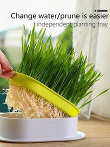 猫草种植盒，水培种植盒，花园种子发芽托盘，种子发芽托盘套装，塑料宠物碗，宠物友好型花盆，适用于猫草、小麦、豌豆、花生苗，阳台、办公室、家庭种植，宠物用品，情人节、母亲节礼物，不错的选择 - 彩色 - 查看 2
