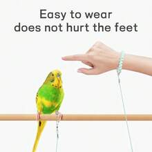 Dây huấn luyện siêu nhẹ cho chim đi dạo, dây xích đàn hồi cho vẹt, vòng đeo chân da hổ hoa mẫu đơn cho vẹt đuôi dài, dây xích chân để huấn luyện bay cho chim trong nhà và ngoài trời, dây xích thả chim trong nhà và ngoài trời. - Nhiều màu - Xem 8