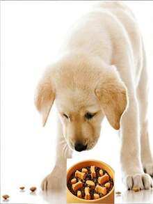 1pc Dog Slow Feeder Bowl, Non-Slip Pet Food Bowl, Small Dog/Cat Feeding Bowl, Designed For Easy Cleaning, Suitable For Medium/Small Pets, Especially Recommended For Pets With Fast Eating Habits Or Need To Control Weight - 200ml - View 2