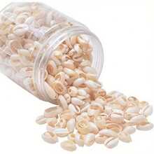 1 Box 140g Colorful Natural Sea Shells - Ideal For DIY Jewelry Making, Home Decor, Resin Art Projects, Crafts. No Power Required, Essential Arts & Crafts Supplies For Creative Projects - Multicolor - View 3