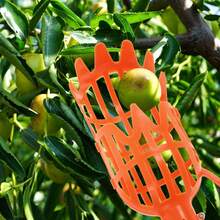 2 Piezas Recolector De Frutas, Color Aleatorio, Sin Varilla, 8.5 x 27 cm, Herramienta De Cosecha para Aguacates, Manzanas Y Otras Frutas - 1 - Ver 4