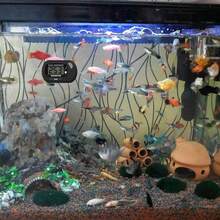 Digital Aquarium Thermometer With Probe, Waterproof Electronic Temperature Gauge For Fish Tank, Reptile, Turtle, With Memory Function, Suitable For Home Use - Multicolor - View 2