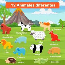 Juguetes Montessori 13 Piezas Juguetes de Clasificacion y Apilamiento Juego de Habilidades Motoras Finas de Aprendizaje Preescolar Educativos Regalos para Niños y Niñas Regalos Navidad - AnimalA - Ver 3
