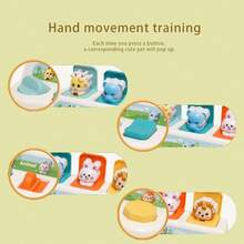 婴儿捉猫益智盒陷阱玩具，互动玩具，按按钮可弹出相应动物