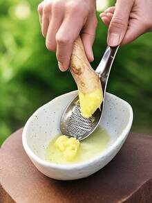 1pc Durable Stainless Steel Ginger Grater - Manual Garlic Press - Chargeless Kitchen Tool