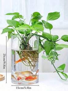 1 件亚克力透明花瓶，防震亚克力花瓶适用于水培、鲜花、幸运竹，透明圆柱形亚克力鲜花装饰适用于客厅和餐厅