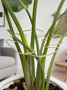 4/2 Jaula de plantación semicircular de plástico, adecuada para apoyar pequeñas plantas en maceta y flores de jardín (adecuada para plantas pequeñas, no compre si le preocupa)