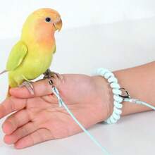 Dây huấn luyện siêu nhẹ cho chim đi dạo, dây xích đàn hồi cho vẹt, vòng đeo chân da hổ hoa mẫu đơn cho vẹt đuôi dài, dây xích chân để huấn luyện bay cho chim trong nhà và ngoài trời, dây xích thả chim trong nhà và ngoài trời. - Nhiều màu - Xem 4