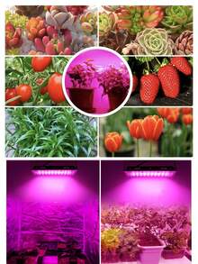 LED植物灯全光谱灯泡红蓝种植补光灯室内紫外线红外线温室帐篷水培灯折叠式阳光多肉植物盆栽蔬菜花卉水果种子栽培照明