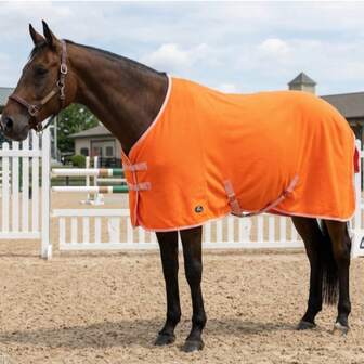 Coperta refrigerante per cavalli multifunzione, con fodera in pile per il calore, può essere utilizzata come coperta per cavalli in primavera/autunno o come fodera termica per coperte invernali per cavalli