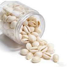 1 Box 140g Colorful Natural Sea Shells - Ideal For DIY Jewelry Making, Home Decor, Resin Art Projects, Crafts. No Power Required, Essential Arts & Crafts Supplies For Creative Projects - Multicolor - View 4