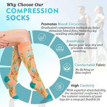 6 Pairs Compression Socks For Women Men 20-30hg Graduated Support Knee High Socks For Nurse Travel Flight,36065348 - Rose Red - View 2