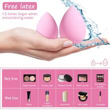 30pcs Makeup Brush Set, All-In-One Beauty Tools Kit Including Blush Brush, Powder Brush, Eyeshadow Brush, Makeup Sponge, Makeup Remover Puff, Brush Cleaning Bowl, Cosmetic Bag, Suitable For Daily Facial Makeup