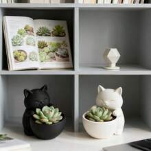 可爱猫咪抱着带排水孔的花盆 - 独特设计，适合种植多肉植物、小型花卉和仙人掌，无需用电，是卧室和客厅的理想之选。