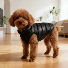 Winter Warm Dog & Cat Jacket - Thick Insulated Coat For Small Dogs | Soothing Colors Available: Cloud Blue (Light Blue), Classic Black - Multicolor - View 8