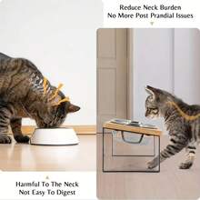 15° Tilted Anti-Vomiting Pet Bowl Stand, 2 Stainless Steel Bowls Suitable For Cats & Dogs, Raised Feeder - 920ml - View 5