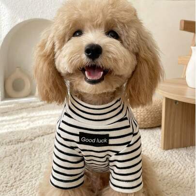 PETSIN 1件宠物狗毛衣，保暖内层，适合马尔济斯犬、比熊犬、约克夏梗犬、泰迪犬、雪纳瑞犬、博美犬等小型犬，黑白条纹款