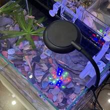 1/2pcs Black USB Aquarium LED Light, Mini Clip Lamp For Fish Tank, Decorate Aquatic Plants, Multi-Mode Dimmable Full Spectrum, Suitable For Aquarium Decoration And Lighting, 5V, No Battery, Aquarium Lighting Accessories, LED Lighting For Fish Tank - Multicolor - View 7