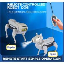 Adult Remote Control Toys