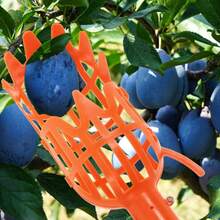 2 Piezas Recolector De Frutas, Color Aleatorio, Sin Varilla, 8.5 x 27 cm, Herramienta De Cosecha para Aguacates, Manzanas Y Otras Frutas - 1 - Ver 5