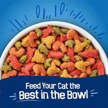 PURINA Friskies Dry Cat Food Seafood Sensations With Salmon, Tuna, And Shrimp Flavors - 22 Lb. Bag, New Year Pet Essentials, Festive Holiday Stock-Up - 22lb - View 3
