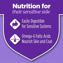 PURINA Cat Chow Gentle Sensitive Stomach And Skin Dry Cat Food With Turkey - 13 Lb. Bag, New Year Cat Care, Holiday Pet Feeding - 13lb - View 4