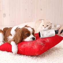 60张/卷超强粘性宠物毛发去除滚筒：强力粘合剂，可清洁衣物和家具上的猫狗毛发