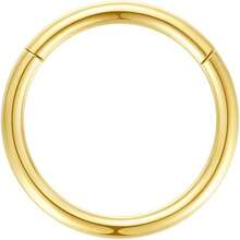 ORANGELOVE Allergnose Rings 20G 18G 16G 14G 12G 10G 8G 316l Bisutería de Septo Anillo de segmento Bisagra riz Anillo de labios riz Helix Cartílago - 1 pieza de 10 g y 14 mm de oro - Ver 1