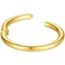 ORANGELOVE Allergnose Rings 20G 18G 16G 14G 12G 10G 8G 316l Bisutería de Septo Anillo de segmento Bisagra riz Anillo de labios riz Helix Cartílago - 1 pieza de 10 g y 14 mm de oro - Ver 5