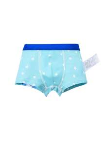 4pcs/Pack Boys' Cartoon Print Boxer Briefs, Dinosaur Print