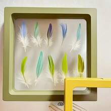 1pc Multi-Color Acrylic Parrot Feather Storage Box, Waterproof Sealed Container For Pet Bird Feather, Specimen, And Memorabilia - Multicolor - View 4