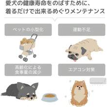 めぐりメンテナンス LaLaRelax サマーボーダー ブラック×ピンク ドッグウエア リカバリーウェア 犬 血行促進 遠赤外線 セラミック ペットウェア トンボ 服 ルームウェア ウェア 遠赤セラミックニット 2TG5002-09 - S - チェックする 6