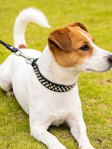 2Pcs/Set Adjustable Leather Pet Dog Collar Neck Strap Supplies, PU Leather Punk Rivet Spiked Dog Collar Collar And Leash Set, Pet Collars For Dog And Cat - Multicolor - View 7