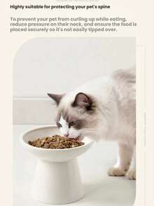 加高宽边陶瓷宠物碗，适用于猫狗 | 颈部保护喂食器，防溢水食碗