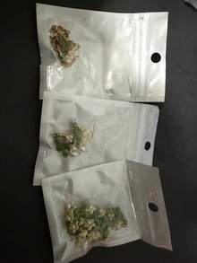 4pcs/Set Elegant Lily Flower Jewelry Set, Includes Fashion Floral Earrings, Necklace, Bracelet With Faux Pearl, Versatile For Daily Wear, Party, Date, Wedding, Cosplay (No Box) Valentine's Day Accessories - Multicolor - View 6