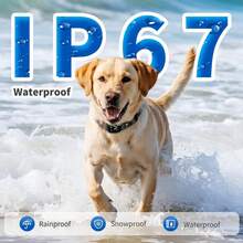 狗狗防吠项圈，可充电式防吠训练项圈，8档可调节灵敏度和强度蜂鸣震动，适用于小型、中型和大型犬 - 黑與白 - 查看 5