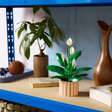 LEGO مجموعة بناء البلوكات النباتية زهرة السلام، مناسبة للديكور في غرفة النوم والرف الكتب والمكتب، للنساء والرجال 18+، هدية عيد الحب، طقم حرفي من الزهور الاصطناعية، 11504 - متعدد الألوان - مشاهدة 7