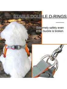 Dog Collar, Cat Collar With Leash For Small And Medium-Sized Pets, Comfortable Vest - 綠色 - 查看 7