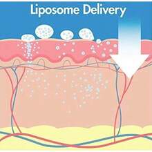 Vita A 视黄醇紧致精华液 | 0.1% 视黄醇，3% Matrixyl，高浓度视黄醇，抗衰老，收缩毛孔，减少细纹和皱纹，紧致肌肤，15毫升 - 彩色 - 查看 6